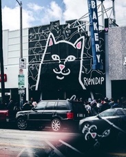 株式会社 TENGAのプレスリリース画像9