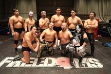 株式会社 TENGAのプレスリリース画像5