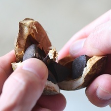 株式会社 TENGAのプレスリリース画像8