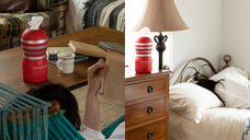 株式会社 TENGAのプレスリリース画像4