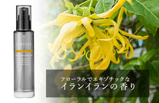 株式会社 TENGAのプレスリリース画像3