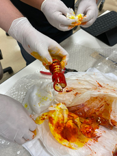 株式会社 TENGAのプレスリリース画像8