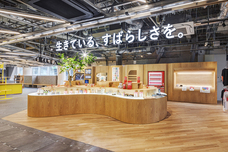 株式会社 TENGAのプレスリリース画像8