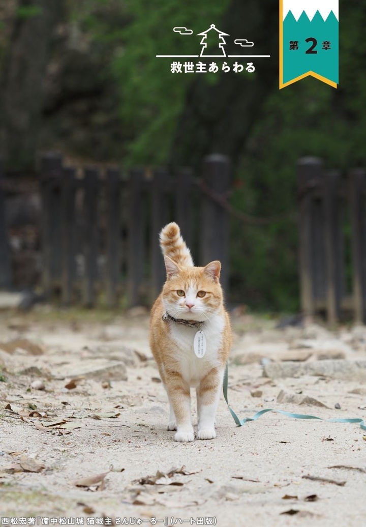 ハート出版 話題の猫城主を書籍化 備中松山城 猫城主 さんじゅーろー 株式会社ハート出版のプレスリリース ハート出版 話題の猫城主を書籍化 備中松山城 猫城主 さんじゅーろー 株式会社ハート出版のプレスリリース