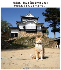 株式会社ハート出版のプレスリリース画像2