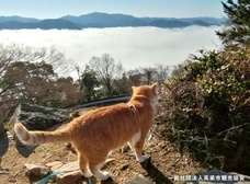 株式会社ハート出版のプレスリリース画像8