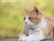 株式会社ハート出版のプレスリリース画像9