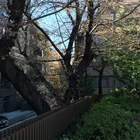 株式会社サードウェーブ　ドスパラのプレスリリース画像6