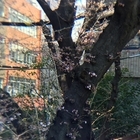 株式会社サードウェーブ　ドスパラのプレスリリース画像7