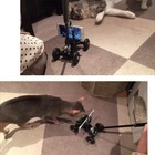 株式会社サードウェーブ　ドスパラのプレスリリース画像6