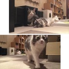 株式会社サードウェーブ　ドスパラのプレスリリース画像3