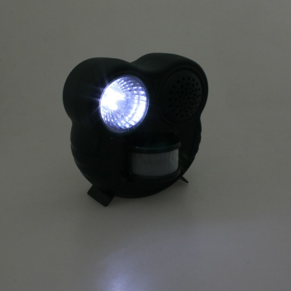 株式会社サードウェーブ　ドスパラのプレスリリース画像7