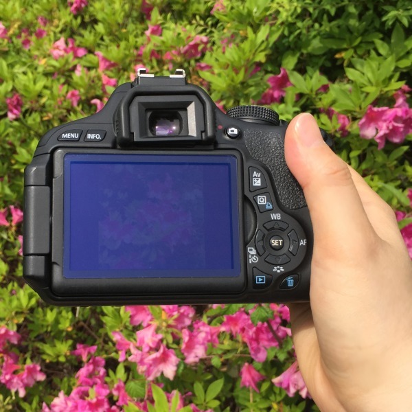 株式会社サードウェーブ　ドスパラのプレスリリース画像8