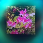 株式会社サードウェーブ　ドスパラのプレスリリース画像4