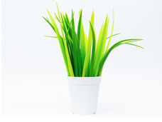 株式会社サードウェーブ　ドスパラのプレスリリース画像3