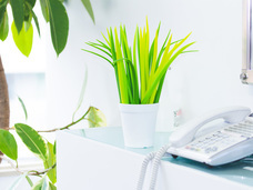 株式会社サードウェーブ　ドスパラのプレスリリース画像4