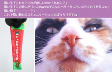 株式会社サードウェーブ　ドスパラのプレスリリース画像5