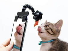 株式会社サードウェーブ　ドスパラのプレスリリース画像6