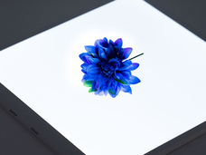 株式会社サードウェーブ　ドスパラのプレスリリース画像5