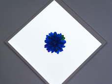 株式会社サードウェーブ　ドスパラのプレスリリース画像9