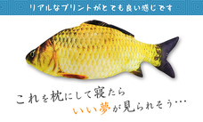 株式会社サードウェーブ　ドスパラのプレスリリース画像8