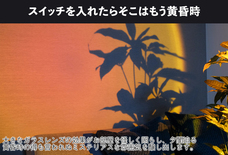 株式会社サードウェーブ　ドスパラのプレスリリース画像9