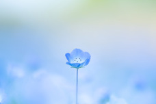 株式会社サードウェーブ　ドスパラのプレスリリース画像4