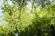 株式会社サードウェーブ　ドスパラのプレスリリース画像3