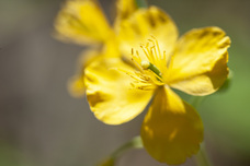 株式会社サードウェーブ　ドスパラのプレスリリース画像5