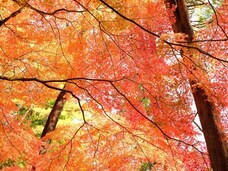 株式会社サードウェーブ　ドスパラのプレスリリース画像3