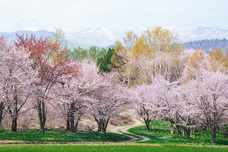 株式会社サードウェーブ　ドスパラのプレスリリース画像3