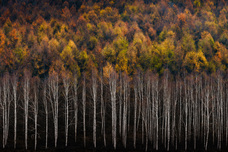 株式会社サードウェーブ　ドスパラのプレスリリース画像5