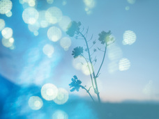 株式会社サードウェーブ　ドスパラのプレスリリース画像3