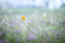 株式会社サードウェーブ　ドスパラのプレスリリース画像3