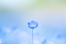 株式会社サードウェーブ　ドスパラのプレスリリース画像4