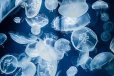 株式会社サードウェーブ　ドスパラのプレスリリース画像3