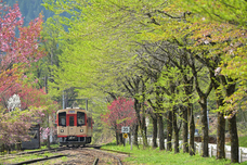 株式会社サードウェーブ　ドスパラのプレスリリース画像3