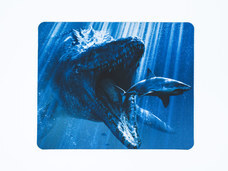 株式会社エバーグリーンのプレスリリース画像5