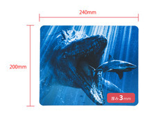 株式会社エバーグリーンのプレスリリース画像7