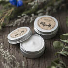 株式会社ルーラーのプレスリリース画像2