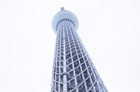 トレンダーズ株式会社のプレスリリース画像8