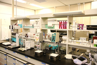 トレンダーズ株式会社のプレスリリース画像4