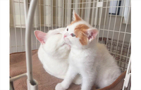 トレンダーズ株式会社のプレスリリース画像7