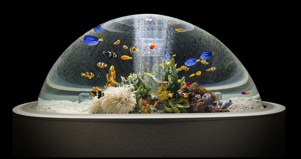 トレンダーズ株式会社のプレスリリース画像3