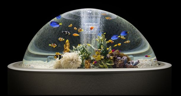 今年の夏は水族館でネイル体験 海遊館ネイル がかわいすぎてノックアウト トレンダーズ株式会社のプレスリリース 今年の夏は水族館でネイル体験 海遊館ネイル がかわいすぎてノックアウト トレンダーズ株式会社のプレスリリース