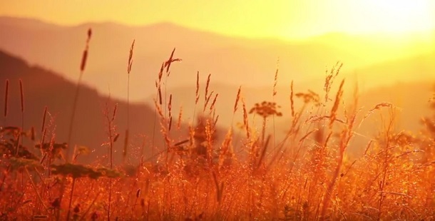 トレンダーズ株式会社のプレスリリース画像8