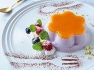 トレンダーズ株式会社のプレスリリース画像3