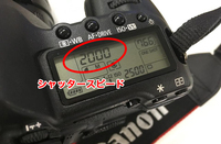 トレンダーズ株式会社のプレスリリース画像5