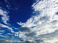 トレンダーズ株式会社のプレスリリース画像6