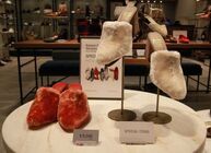 トレンダーズ株式会社のプレスリリース画像8